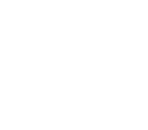 Logo av PatientSky